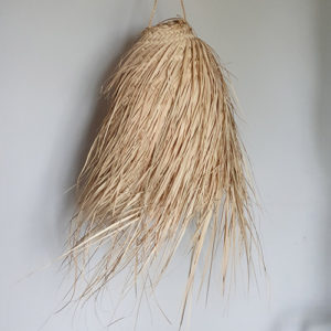 Suspension pro - Augustin