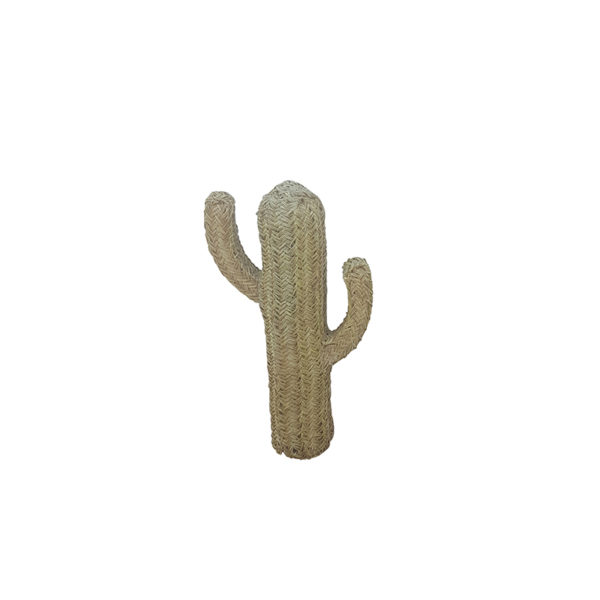 Cactus - Rodrigo : Marque Étincelles
